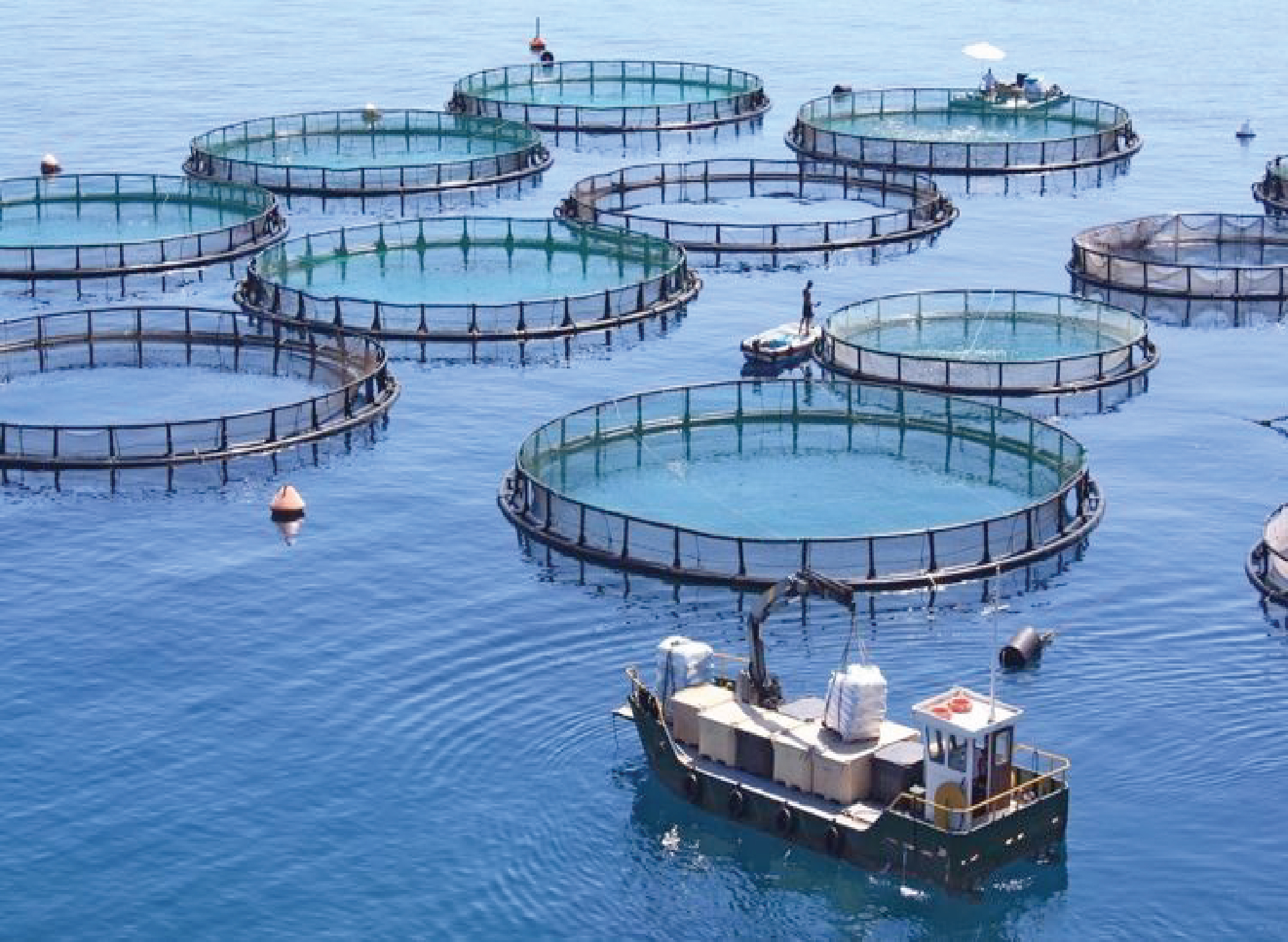 Lưới nuôi trồng thủy hải sản